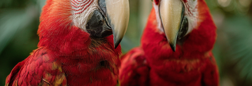 Helen Cox Marketing and Business Development Consultant and AI trainer for Professional Services and B2B firms in the UK London and Kent