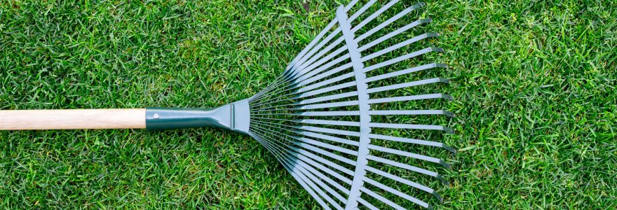 Helen Cox Marketing and Business Development Consultant and AI trainer for Professional Services and B2B firms in the UK, London and Kent