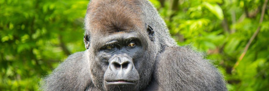 Helen Cox Marketing and Business Development Consultant and AI trainer for Professional Services and B2B firms in the UK London and Kent